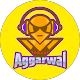 Idhant Agarwal